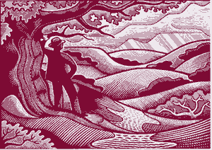 Illustration by Clifford Harper, woodcut like person contemplates landscape